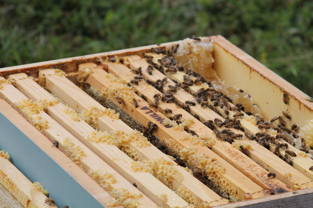 a pile of bee hives