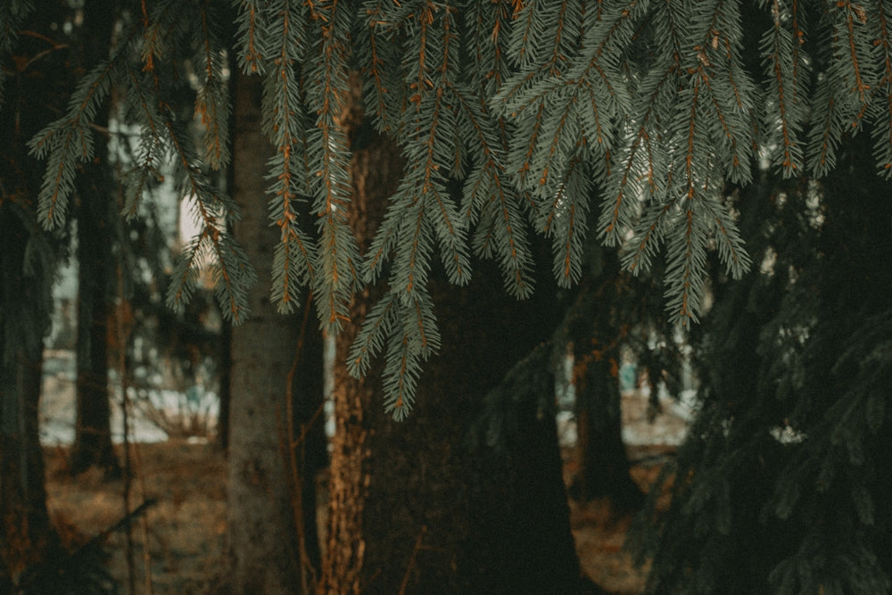 Cómo el Libro Blandito Granja Fomenta Actividades Sensoriales y Educación Montessori con Juguetes Montessori