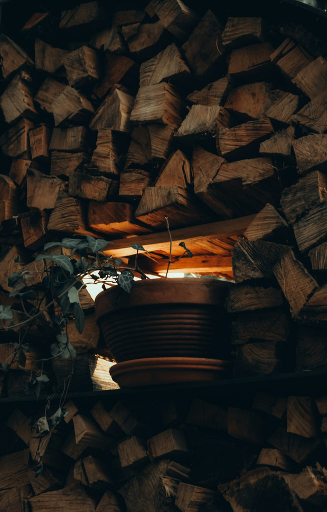 una catasta di legna accatastata una sopra l'altra