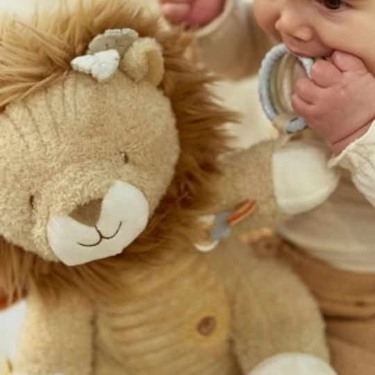 León de actividades Safari Friends de Little Dutch
