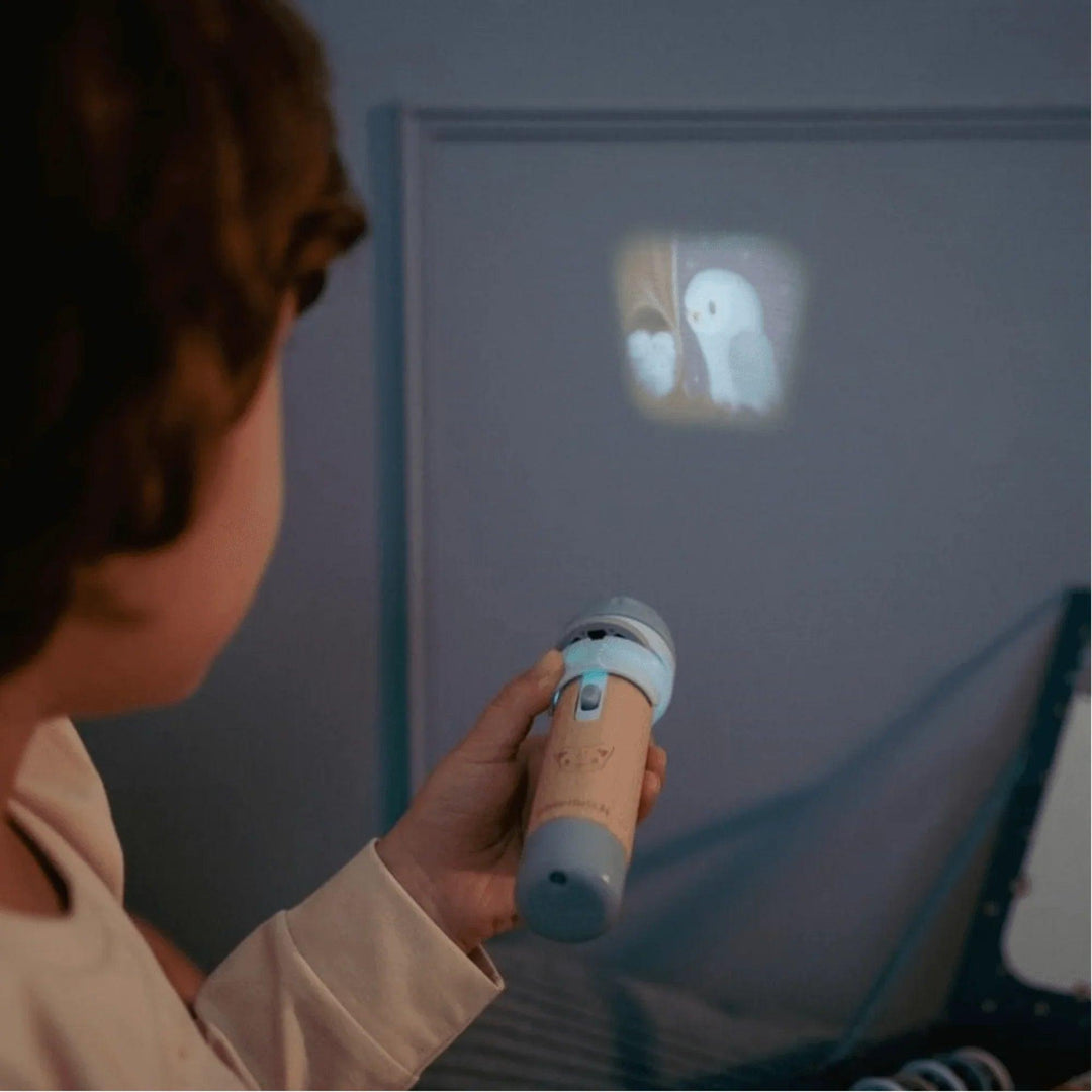 Un enfant utilise un projecteur de lampe de poche pour afficher l'image d'un livre d'histoires sur un mur