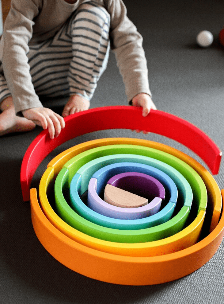 Juguetes 2 3 4 Años Montessori Juegos Educativos Niños 4 Años Regalo Niño  Niña 2 Años Brinquedos Bebe 2 Años Juguetes de Madera 5 En 1 Recoger