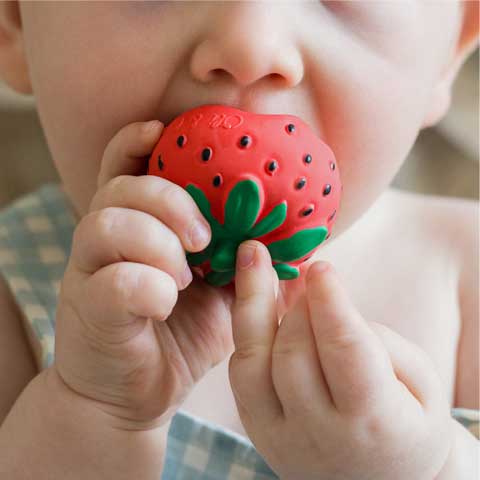 juguete excelente para la dentición, la hora del baño y el juego sensorial. Su diseño realista ayudará a estimular los sentidos de los bebés y a calmar las encías de la dentición. ¡Introduce a los niños en una forma de vida saludable desde pequeños. Fácil de colgar de un chupetero. 