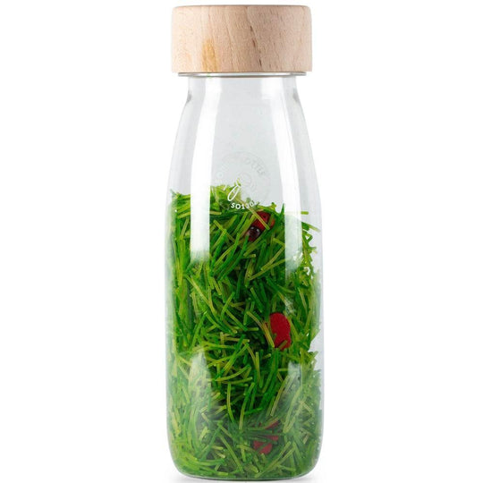 ladybirds sensory bottle