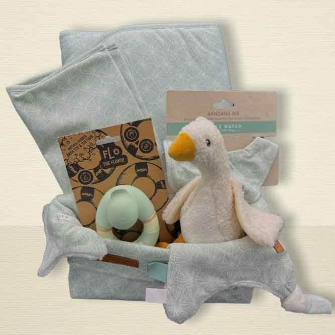 Newborn basket